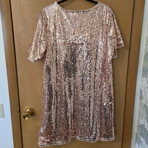 Sequin Short Sleeve Dress